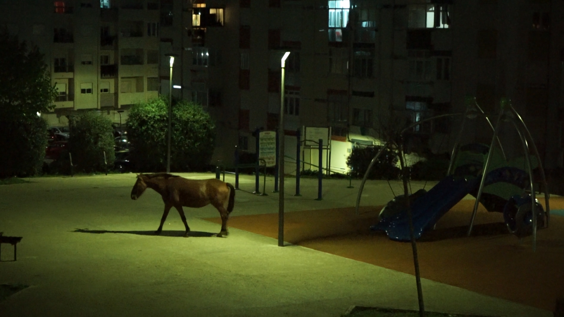 Déjà vu — still 4